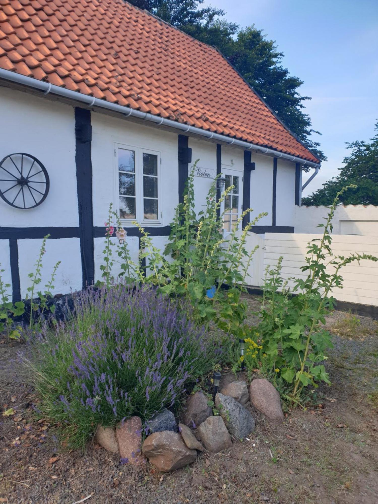 Violen Apartment Åkirkeby Exterior foto